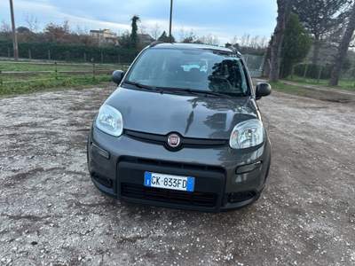 Fiat Panda 1.0 FireFly S&S Hybrid City Life Grigio usata Bracciano