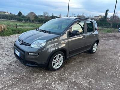 Fiat Panda 1.0 FireFly S&S Hybrid City Life Grigio usata Bracciano