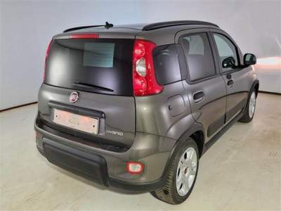Fiat Panda 1.0 FireFly S&S Hybrid City Life Verde usata Città della Pieve
