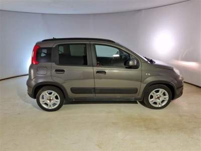 Fiat Panda 1.0 FireFly S&S Hybrid City Life Verde usata Città della Pieve