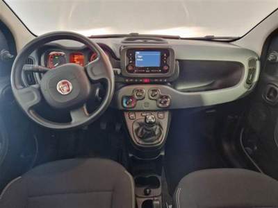 Fiat Panda 1.0 FireFly S&S Hybrid City Life Verde usata Città della Pieve