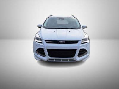 Ford Kuga 2.0 TDCI 150 CV Tetto 4WD Powershift Titanium Bianco usata Oderzo