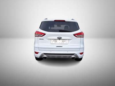 Ford Kuga 2.0 TDCI 150 CV Tetto 4WD Powershift Titanium Bianco usata Oderzo