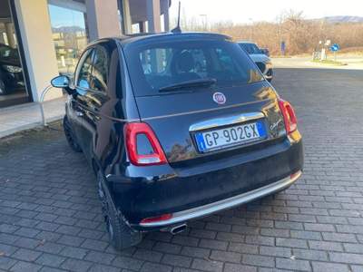 Fiat 500 1.2 Collezione Nero usata Briga Novarese