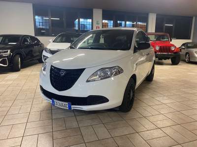 Lancia Ypsilon 1.2 69 CV 5 porte Elefantino Bianco usata Briga Novarese