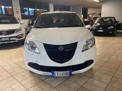 Lancia Ypsilon 1.2 69 CV 5 porte Elefantino Bianco usata Briga Novarese