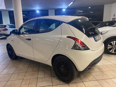 Lancia Ypsilon 1.2 69 CV 5 porte Elefantino Bianco usata Briga Novarese