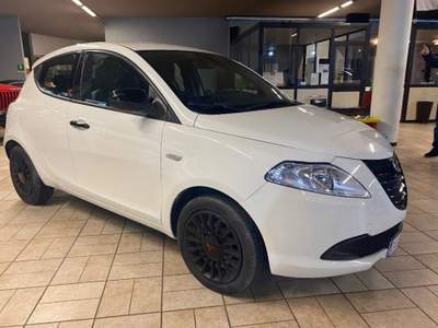 Lancia Ypsilon 1.2 69 CV 5 porte Elefantino Bianco usata Briga Novarese