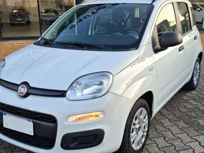 Fiat Panda 1.2 Easy Bianco usata Ferrara
