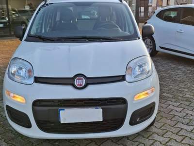 Fiat Panda 1.2 Easy Bianco usata Ferrara Fiat Panda 1.2 Easy Bianco usata Ferrara