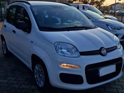 Fiat Panda 1.2 Easy Bianco usata Ferrara