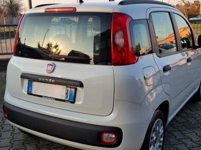 Fiat Panda 1.2 Easy Bianco usata Ferrara