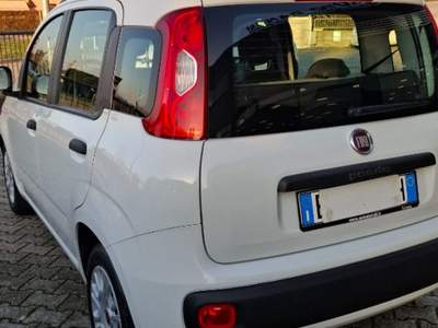 Fiat Panda 1.2 Easy Bianco usata Ferrara