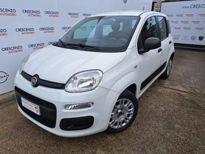 Fiat Panda 1.3 MJT S&S Easy Van 4 posti - PER RIVENDITORI Bianco usata Nocera Superiore Fiat Panda 1.3 MJT S&S Easy Van 4 posti - PER RIVENDITORI Bianco usata Nocera Superiore