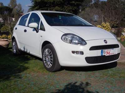 Fiat Punto 1.2 8V 5 porte Street Bianco usata Pomezia