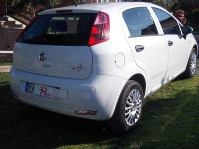Fiat Punto 1.2 8V 5 porte Street Bianco usata Pomezia