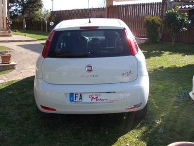 Fiat Punto 1.2 8V 5 porte Street Bianco usata Pomezia