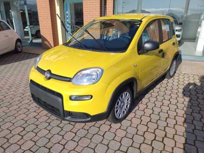Fiat Panda 1.0 FireFly Hybrid scontabile con finanziamento Giallo usata Mondovì