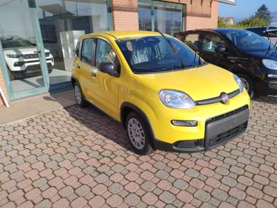 Fiat Panda 1.0 FireFly Hybrid scontabile con finanziamento Giallo usata Mondovì