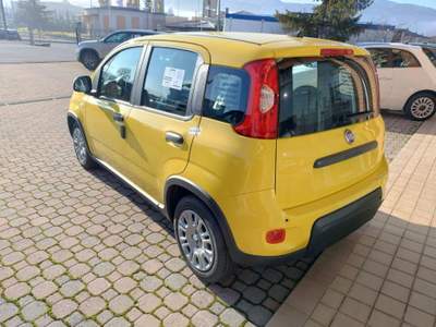 Fiat Panda 1.0 FireFly Hybrid scontabile con finanziamento Giallo usata Mondovì