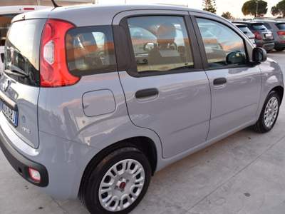 Fiat Panda 1.0 FireFly S&S Hybrid Easy Grigio usata San Vito dei Normanni