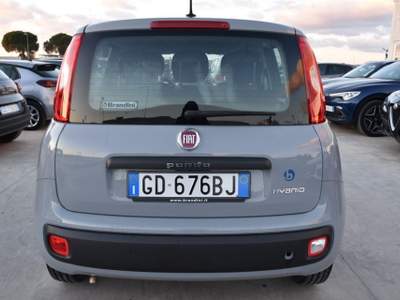 Fiat Panda 1.0 FireFly S&S Hybrid Easy Grigio usata San Vito dei Normanni