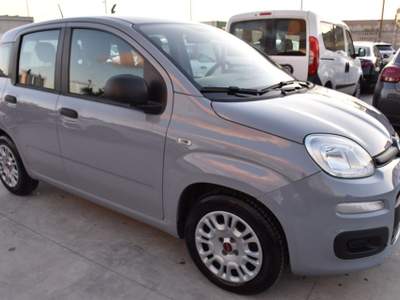 Fiat Panda 1.0 FireFly S&S Hybrid Easy Grigio usata San Vito dei Normanni
