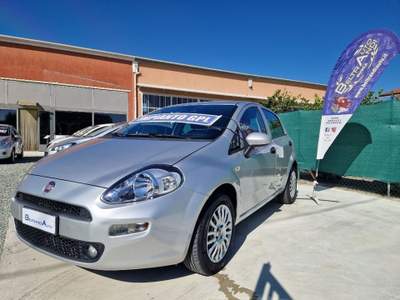 Fiat Punto Easypower 1.4 77 Cv 5 porte Argento usata BUSCA Fiat Punto Easypower 1.4 77 Cv 5 porte Argento usata BUSCA
