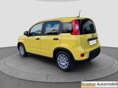 Fiat Panda 1.0 FireFly S&S Hybrid Giallo usata MESSINA