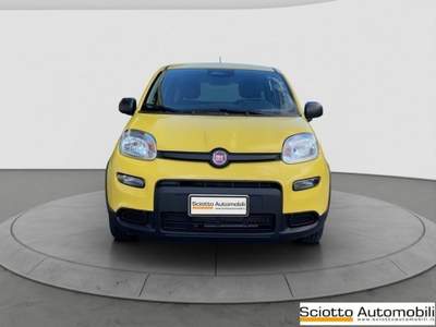 Fiat Panda 1.0 FireFly S&S Hybrid Giallo usata MESSINA