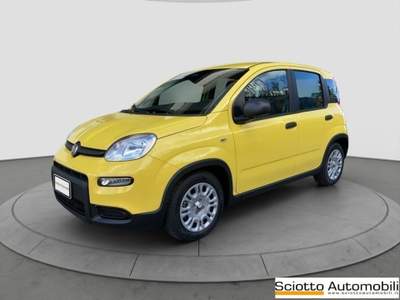 Fiat Panda 1.0 FireFly S&S Hybrid Giallo usata MESSINA