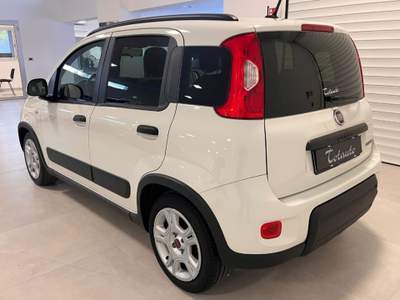 Fiat Panda 1.0 FireFly S&S Hybrid Bianco usata Ghilarza