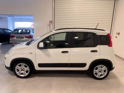 Fiat Panda 1.0 FireFly S&S Hybrid Bianco usata Ghilarza