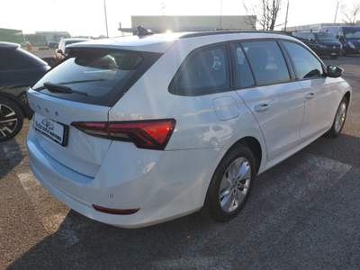 Skoda Octavia 2.0 TDI EVO SCR 150 CV DSG Wagon Executive Bianco usata Rosolina