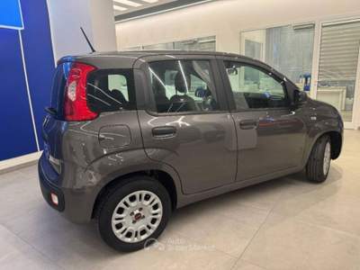 Fiat Panda 1.0 firefly hybrid s&s 70cv Grigio usata Licata