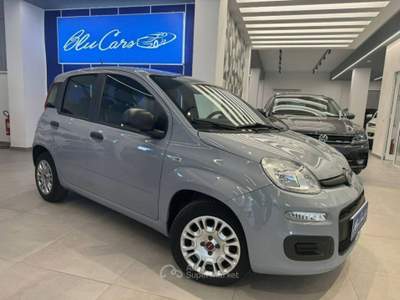 Fiat Panda 1.0 firefly hybrid Sport s&s 70cv 5p.ti Grigio usata Licata