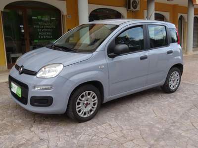 Fiat Panda 1.2 69 CV POP Grigio usata Quartu Sant'Elena