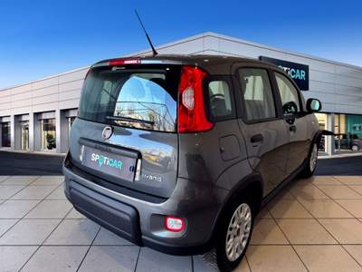 Fiat Panda 1.0 FireFly S&S Hybrid Grigio usata Bologna