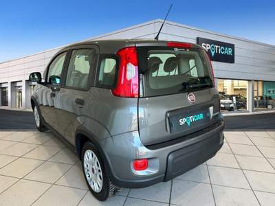 Fiat Panda 1.0 FireFly S&S Hybrid Grigio usata Bologna