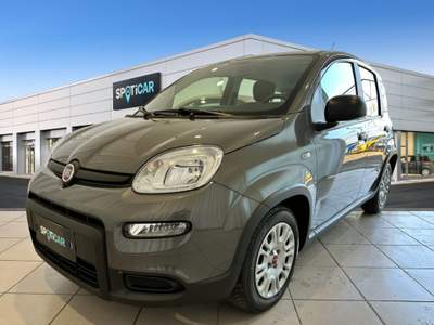 Fiat Panda 1.0 FireFly S&S Hybrid Grigio usata Bologna