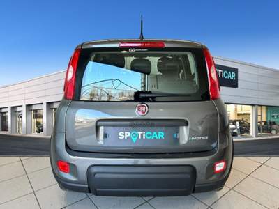 Fiat Panda 1.0 FireFly S&S Hybrid Grigio usata Bologna
