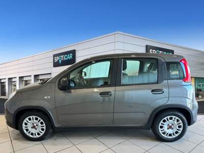 Fiat Panda 1.0 FireFly S&S Hybrid Grigio usata Bologna