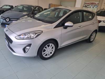 Ford Fiesta 1.1 75 CV  5 porte Business Argento usata Vasto