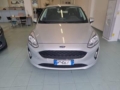 Ford Fiesta 1.1 75 CV  5 porte Business Argento usata Vasto