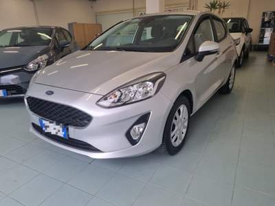 Ford Fiesta 1.1 75 CV  5 porte Business Argento usata Vasto
