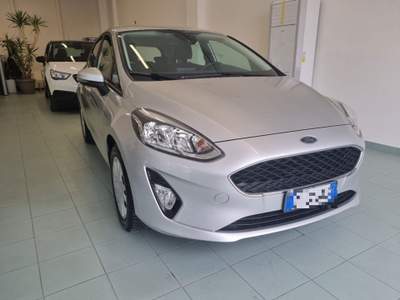 Ford Fiesta 1.1 75 CV  5 porte Business Argento usata Vasto