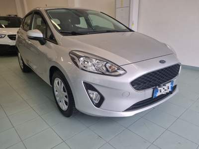 Ford Fiesta 1.1 75 CV  5 porte Business Argento usata Vasto
