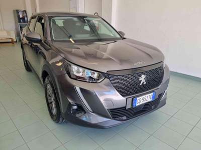 Peugeot 2008 BlueHDi 100 S&S Active Grigio usata Vasto