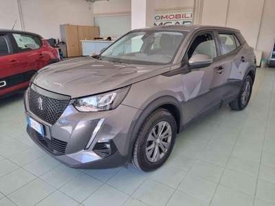 Peugeot 2008 BlueHDi 100 S&S Active Grigio usata Vasto