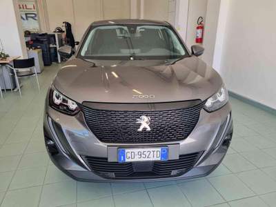 Peugeot 2008 BlueHDi 100 S&S Active Grigio usata Vasto